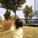 지에스25 여수소노캄점 이미지