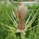 도담칼국수 이미지