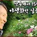 산골짜기 이미지
