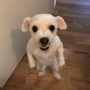 아웃닭건대점 이미지