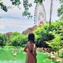 운영카랜드 | 베트남 나트랑 3일차 빈원더스 입장권 케이블카 놀이기구 동물원 워터파크 운영시간 가격 후기