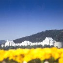 조선대학교 이미지