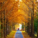 진주 대천리 입석 이미지