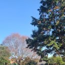 중선농장 이미지