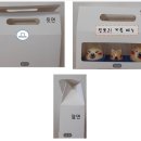 필스텔라