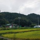 마을회관 정자옆 티스토리