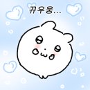 부일반점 - 남해군 화전로122번가길 14 | 부일반점