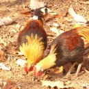 예림하우스 이미지