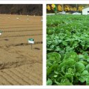 가사농장 이미지