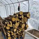 참옻나무,벌나무,건칡,삽주,우슬,감태나무,옻껍질, 판매 이미지