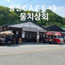 울진CAFE:)울진 후포 카페 물치상회 재방문 내돈내산 후기