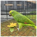 북로농장 이미지