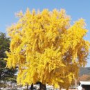 신당리마을회관 이미지