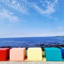 세븐일레븐 해안도로점 이미지