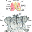 유성한의원 이미지