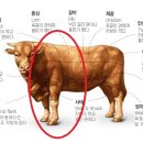 소잡는날 이미지