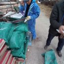 세실농장 이미지