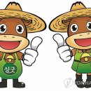 홍성한우 연합뉴스