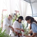 (원데이) 그린 플랜트 이미지