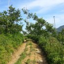 조아조아놀이터 이미지