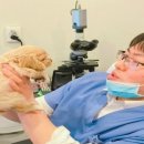 괴정동물병원 이미지