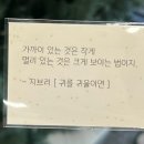 [뮤지컬후기] 킹키부츠 : 뮤지컬 또 보고 싶어❤️