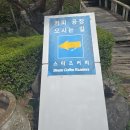 청주 핸드드립 커피 맛집 스티즈커피 로스터스 후기