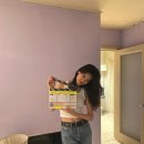 더 김도연 이미지