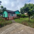 한마음초등로 이미지