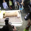 푸마농장 이미지