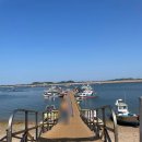 아라메길 (삼길나루길-벚꽃길) | 청주 근교 당일치기 여행으로 좋은 충남 서산 삼길포항