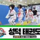 단결태권도장 네이버블로그