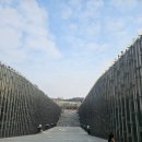 이화어린이집 | 이화여자대학교 자연사박물관 겨울학기 교육프로그램 수강 후기 (+ 초등과학 교육)