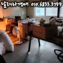 케이앤피나노 네이버블로그