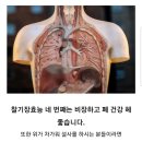 2024년산 햇찰수수와 햇찰기장 이미지