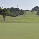 그린온주