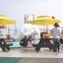 편백 해수탕 사우나 이미지