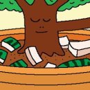 [리빙포인트] 먹고 남은 수박 껍질은 화분에 이미지