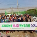 신례1리 이미지