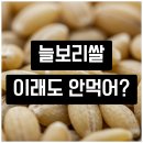 [서부] 건강밥상차리기 | 늘보리쌀 효능 제대로 알고 건강 밥상 차리기