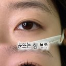 이지쌀롱 eg salon | 쳐져 있는 속눈썹 번쩍 올려줄 롯드 뭐가 좋을까?
