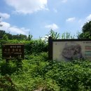 고강빌딩 Daum카페
