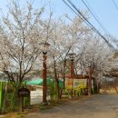 제갈농장 이미지