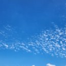 후포농장 이미지