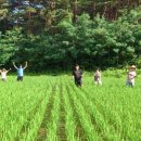 윤용농장 이미지