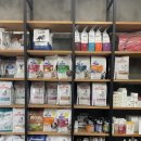 디위드동물병원 이미지