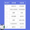 퀘테이션
