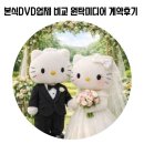 스타미디어 | W9. 대전 청주 본식 DVD 비교 후 계약 후기 (스냅스타, 비다픽처스, 원탁 미디어, 포레스트 필름)