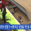 하천(갑천2-1) 헤럴드경제
