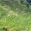 [필리핀여행] 바나우에(Banaue) - 세계 8번째 불가사의/천국으로 가는 계단 이미지